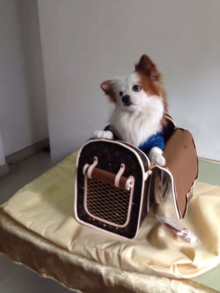 Louis Vuitton Monogram Canvas Dog Bag 40 M42022 Louis Vuitton Monogram Canvas Dog Bag 40 M42022