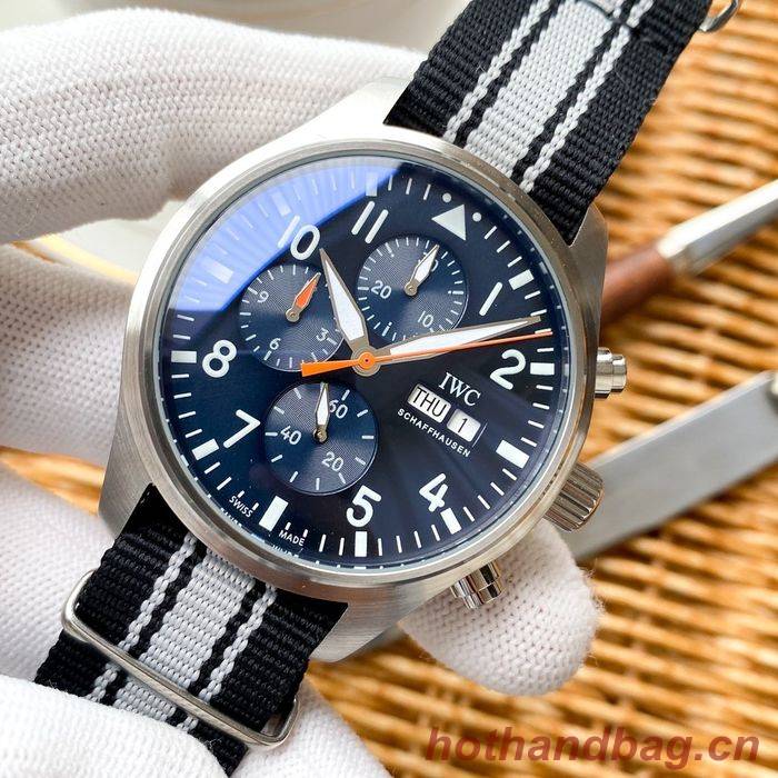IWC Watch IWW00009-1