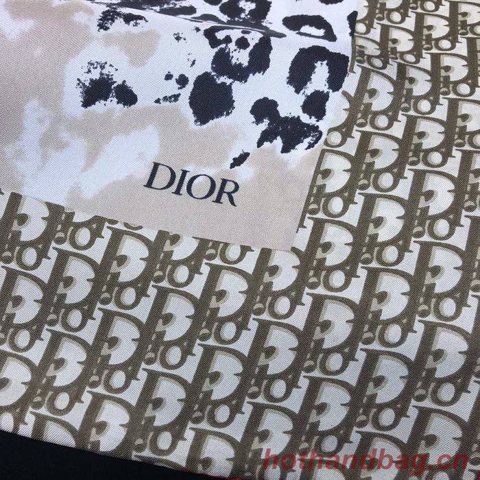 Dior Scarf DIS00064 Dior Scarf DIS00064