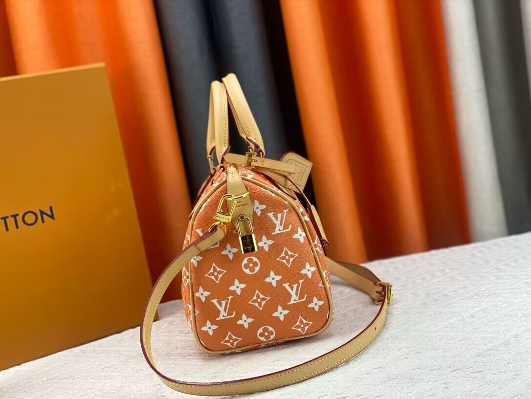 Louis Vuitton LV2024 Speedy 25 M24424 Orange Louis Vuitton LV2024 Speedy 25 M24424 Orange