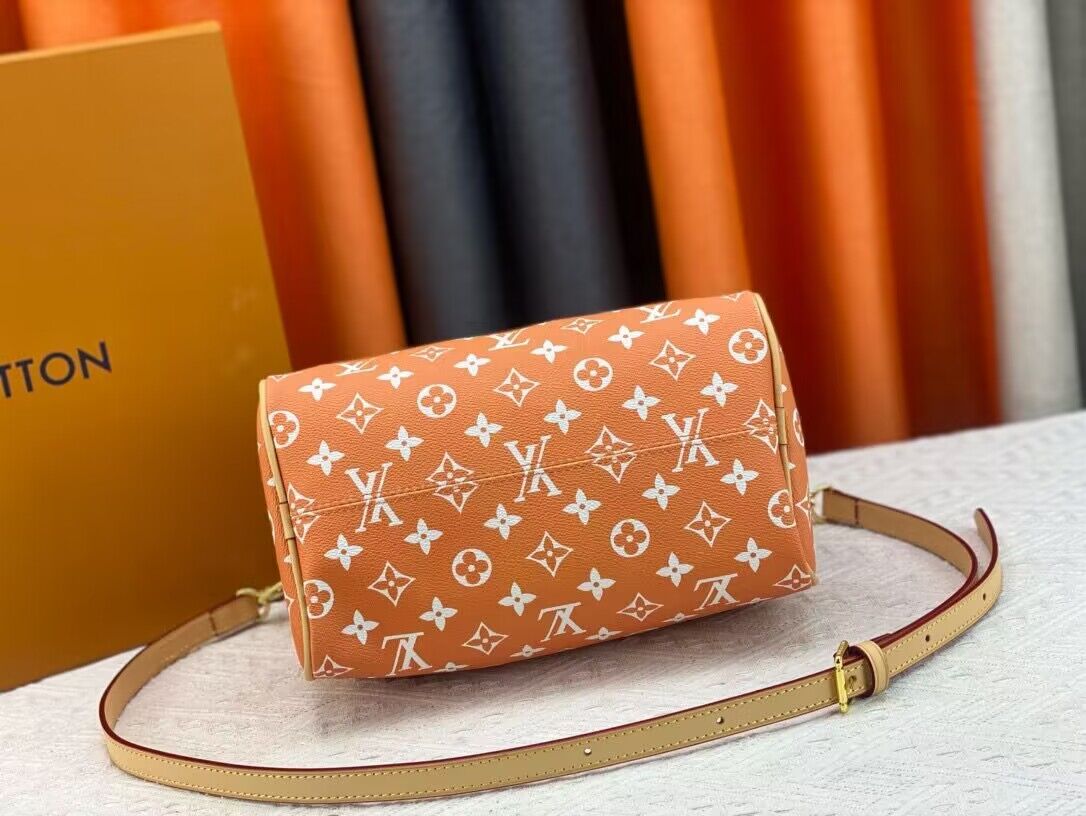 Louis Vuitton LV2024 Speedy 25 M24424 Orange Louis Vuitton LV2024 Speedy 25 M24424 Orange