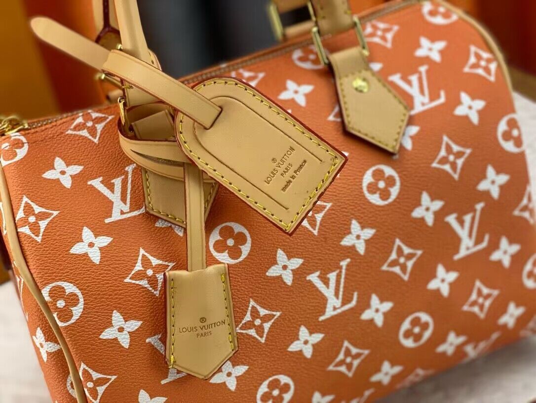Louis Vuitton LV2024 Speedy 25 M24424 Orange Louis Vuitton LV2024 Speedy 25 M24424 Orange