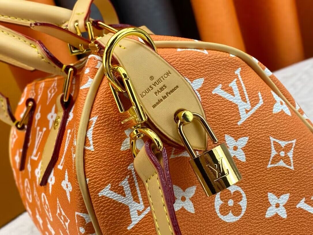 Louis Vuitton LV2024 Speedy 25 M24424 Orange Louis Vuitton LV2024 Speedy 25 M24424 Orange