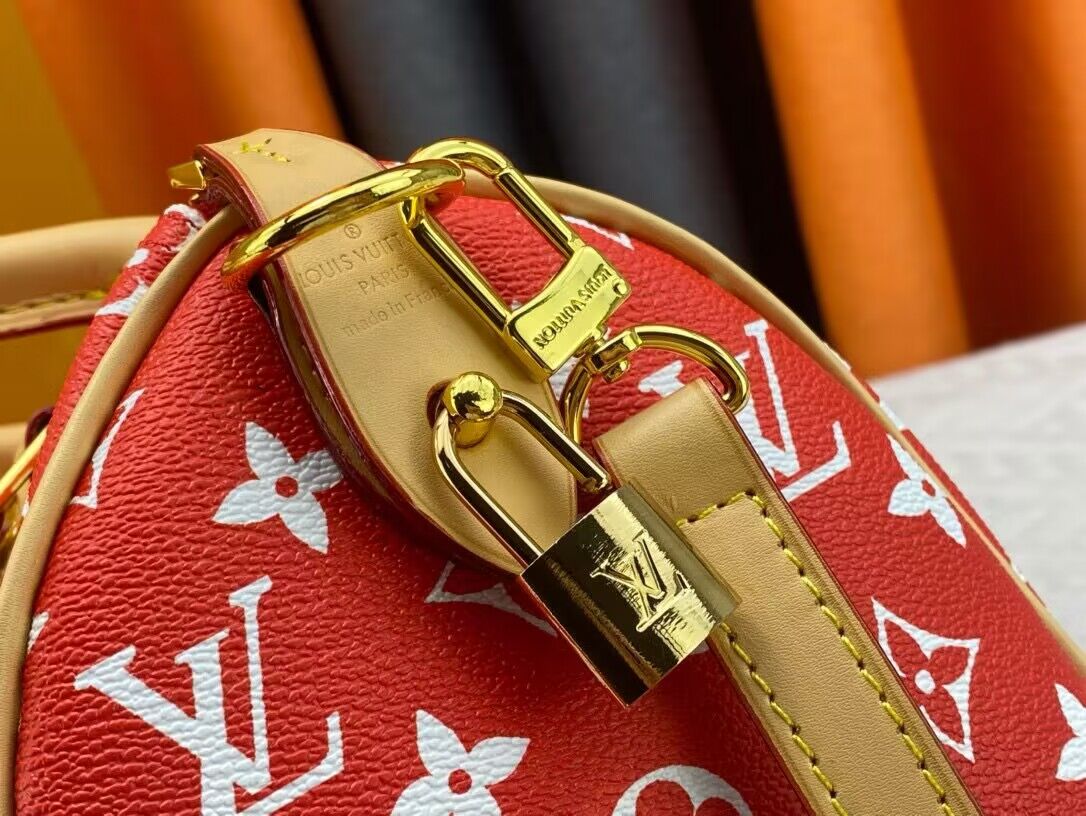 Louis Vuitton LV2024 Speedy 25 M24424 Red Louis Vuitton LV2024 Speedy 25 M24424 Red