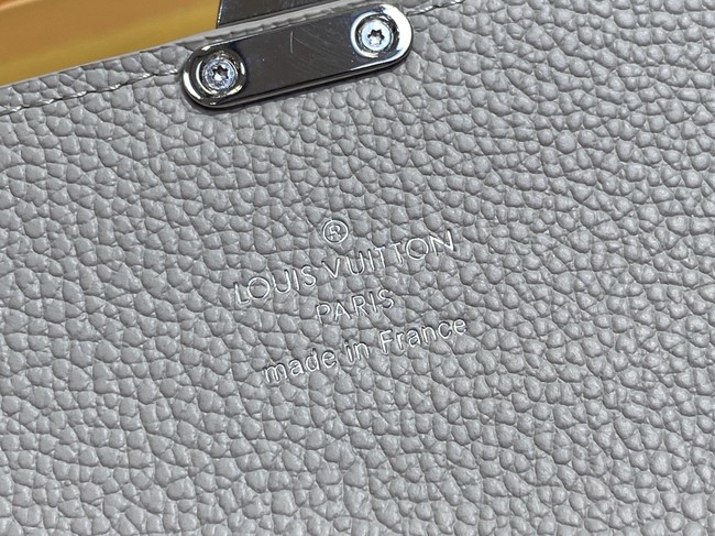 Louis Vuitton Wallet M13463 Brume