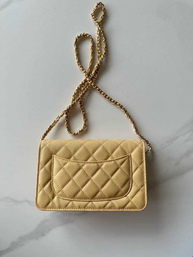 Chanel Classic Wallet On Chain Grained Calfskin AP4241-19