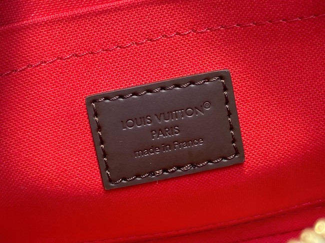 Louis Vuitton Damier Ebene coated canvas M14939