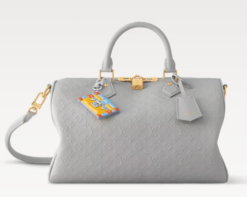 Louis Vuitton Speedy Soft 30 M25670 Cloud Gray