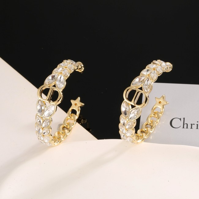 Dior Earring CE16969