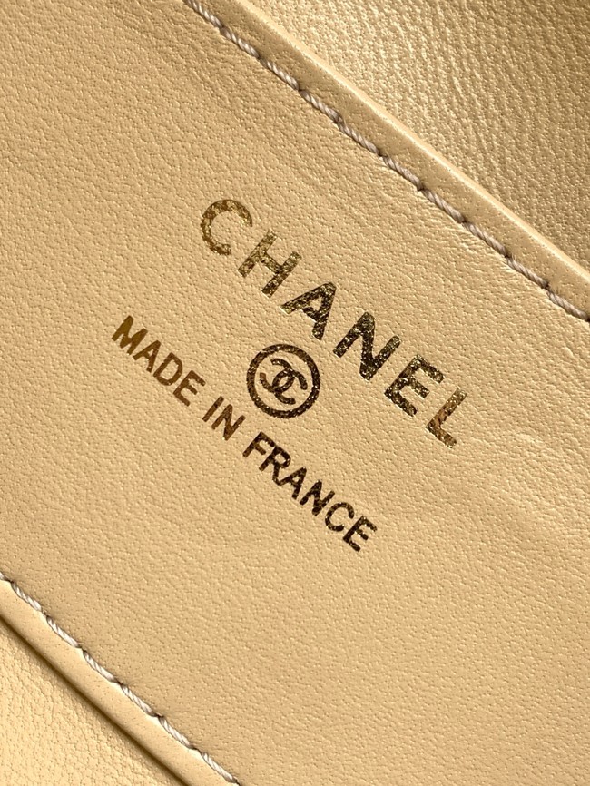 Chanel MINI FLAP BAG AS4679 TAN