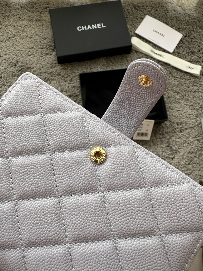 Chanel Passport Holder 96066 light Purple