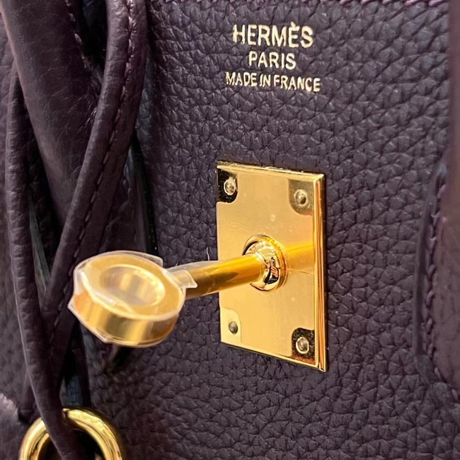 Hermes Birkin Bag Leather togo 5569 Chocolate