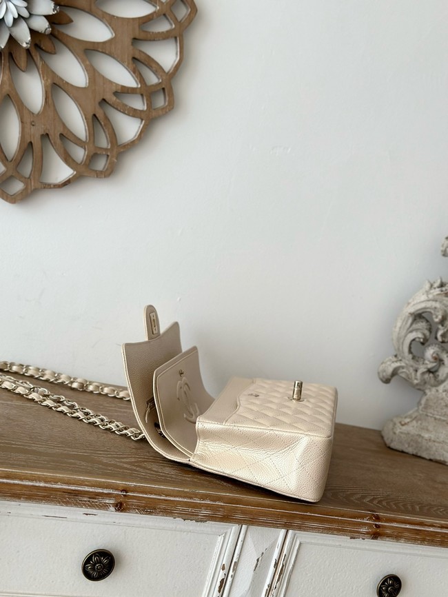 CHANEL Classic 11.12 handbag  A01112-3