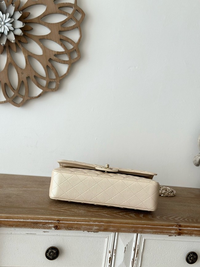 CHANEL Classic 11.12 handbag  A01112-3