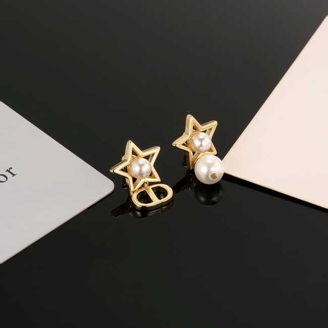 Dior Earrings CE80977