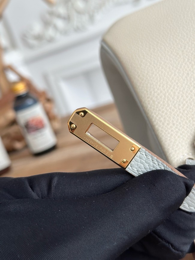 Hermes Birkin Bag togo Leather 2835-4