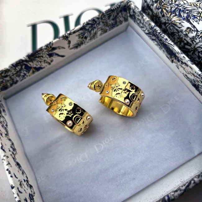 Dior Earring CE80999