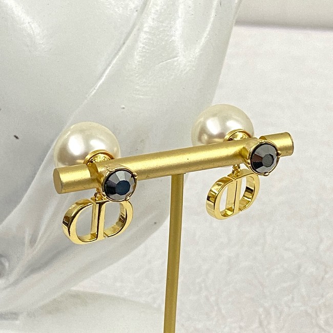 Dior Earring CE81007