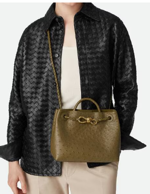 Bottega Veneta Small Andiamo 805231 Mud