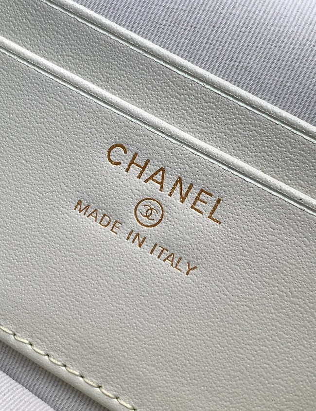 Chanel Vanity with Chain 26C AP4936 light gray