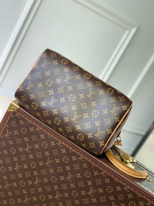 Louis Vuitton Speedy 30 Soft Celebration M28379 Honey
